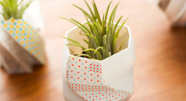 vasos com plantas impressos com impressão 3d e sustentabilidade