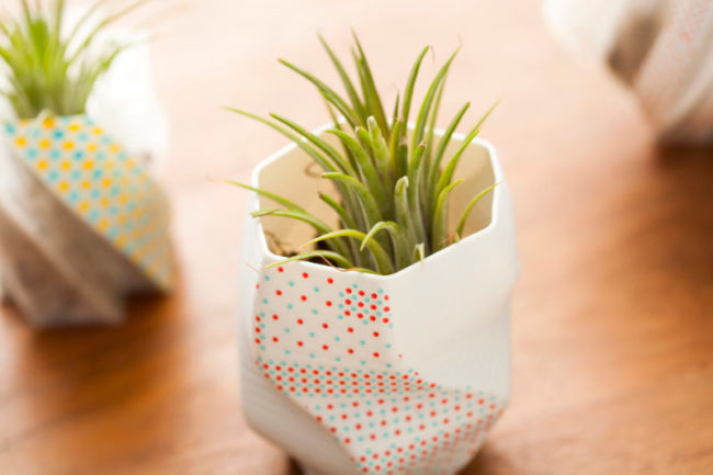 vasos com plantas impressos com impressão 3d e sustentabilidade