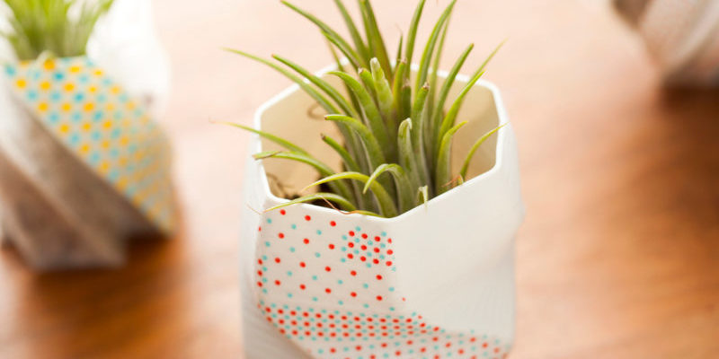 vasos com plantas impressos com impressão 3d e sustentabilidade