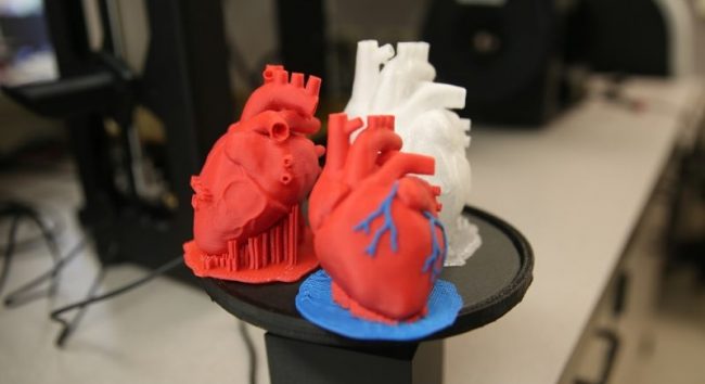 órgãos feitos com a impressão 3D