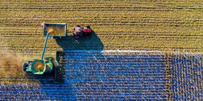 trator_colhendo_plantacao